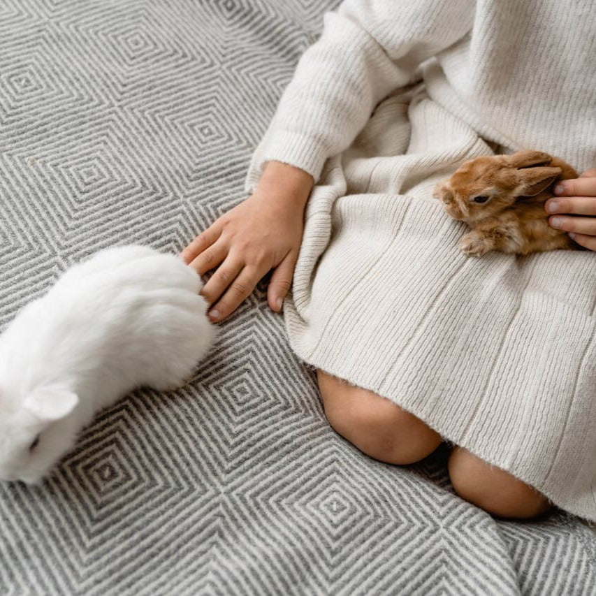 Energy healing - animal protection - kyvoitou 🐶
